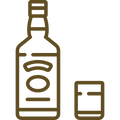 USP-Icon