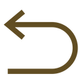 USP-Icon